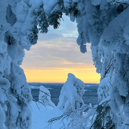 In Lapland - Huuhkaranta Syöte